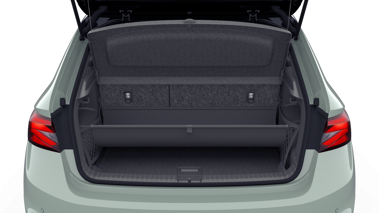 Bild eines Fabia Selection TSI DSG
