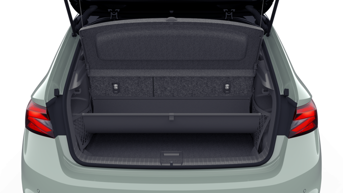 Bild eines Fabia Selection TSI DSG