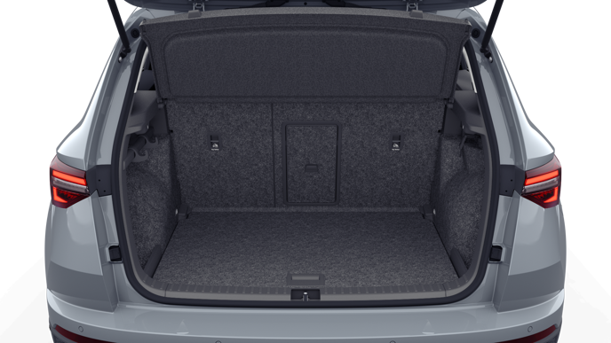 Bild eines Karoq Selection TSI