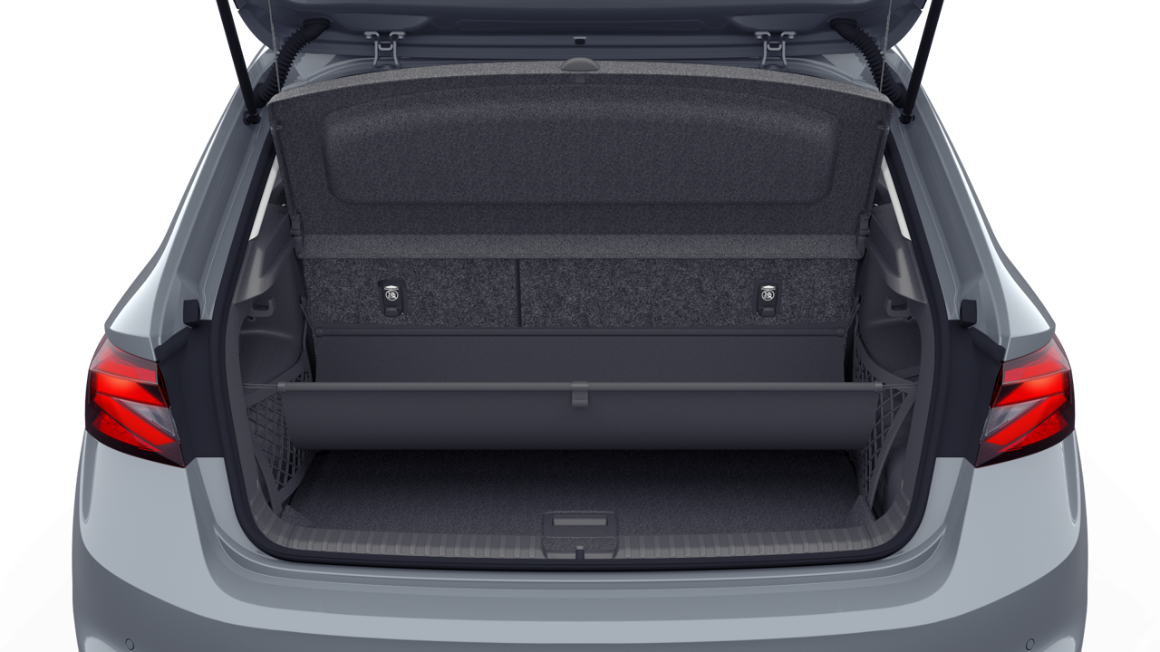 Bild eines Fabia Selection TSI DSG