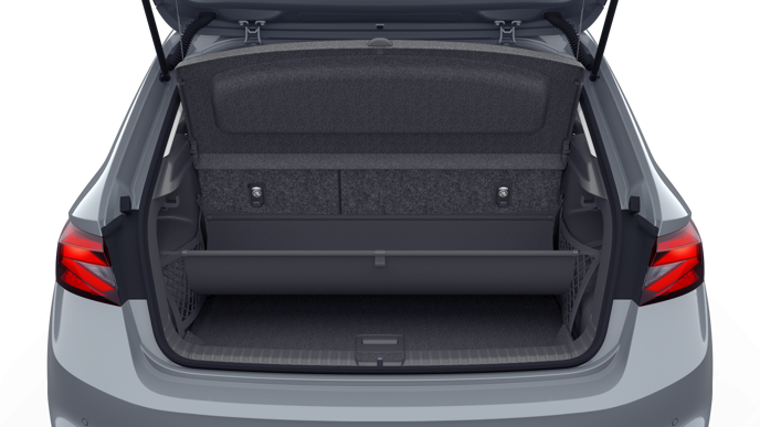 Bild eines Fabia Selection TSI DSG