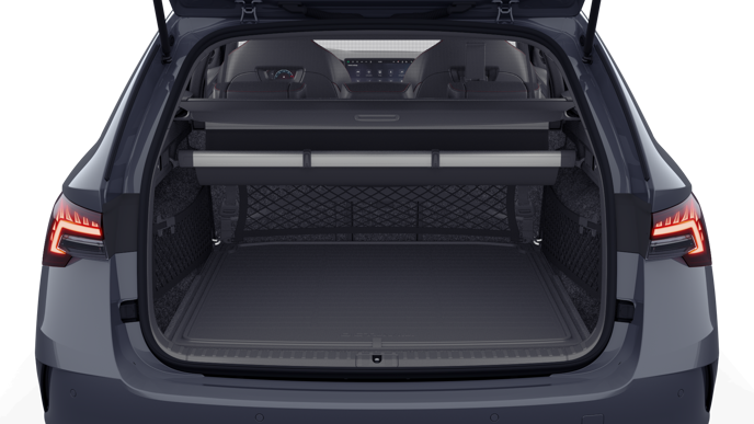 Bild eines Octavia Combi RS