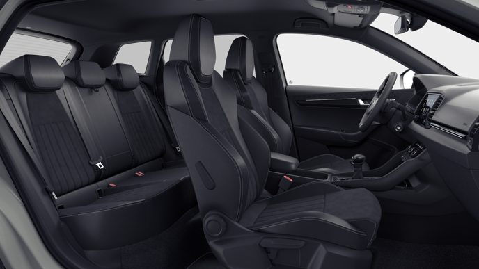 Bild eines Karoq Sportline TDI DSG