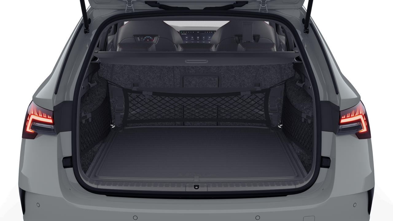 Bild eines Octavia Combi RS