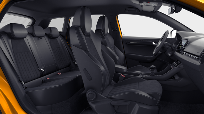 Bild eines Karoq Sportline TSI DSG ACT