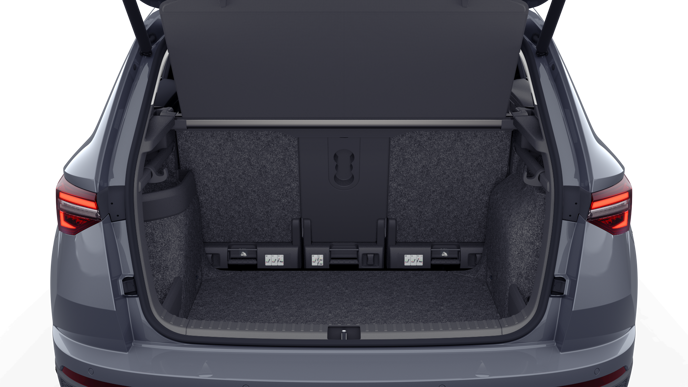 Bild eines Karoq Selection TDI DSG