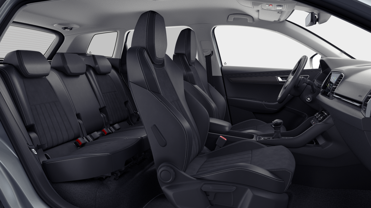Bild eines Karoq Selection TDI DSG