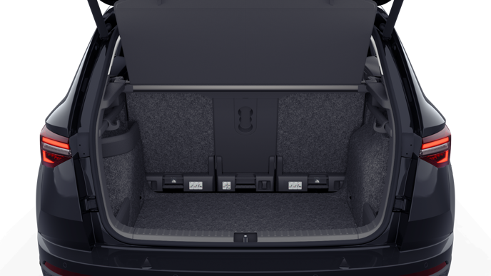 Bild eines Karoq Selection TDI DSG