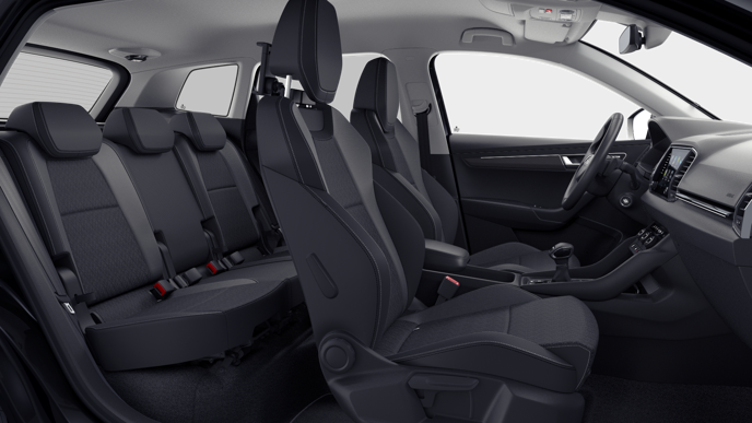 Bild eines Karoq Selection TDI DSG
