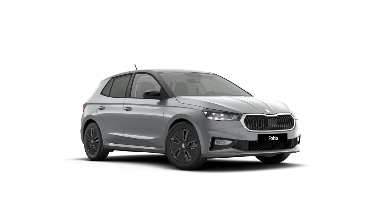 Bild eines Fabia Selection TSI DSG
