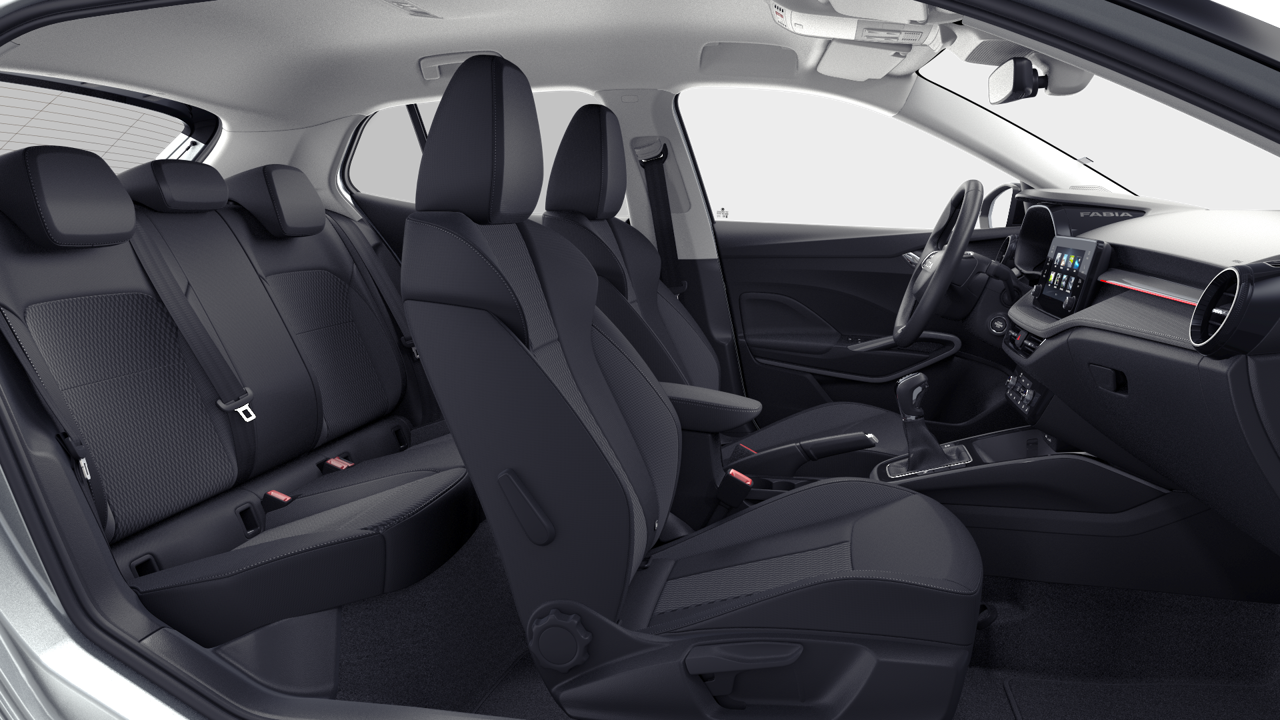 Bild eines Fabia Selection TSI DSG