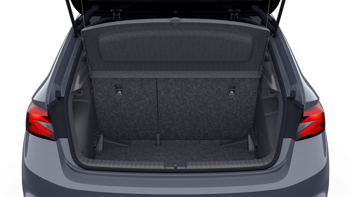 Bild eines Fabia Monte Carlo TSI