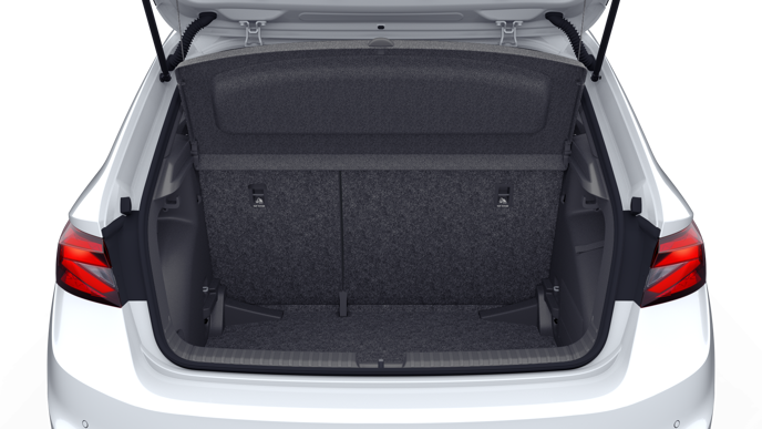 Bild eines Fabia Monte Carlo TSI