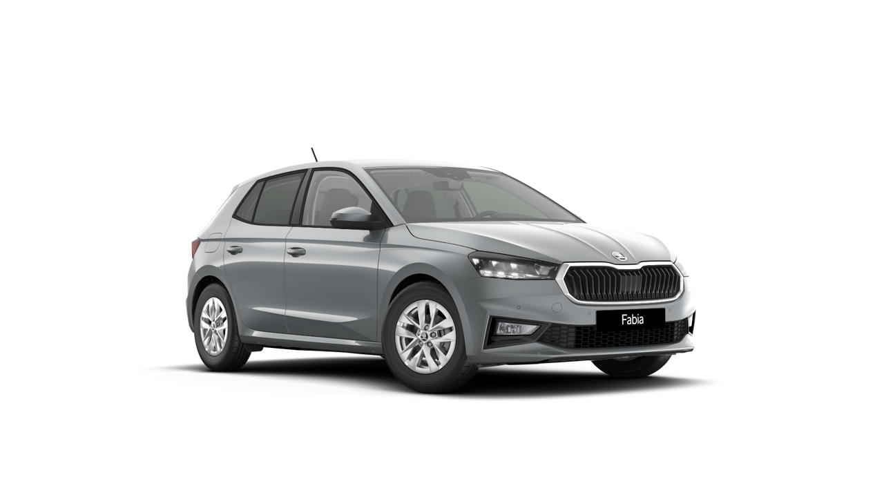 Bild eines Fabia Selection TSI