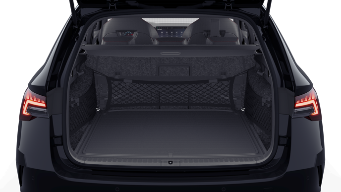 Bild eines Octavia Combi RS
