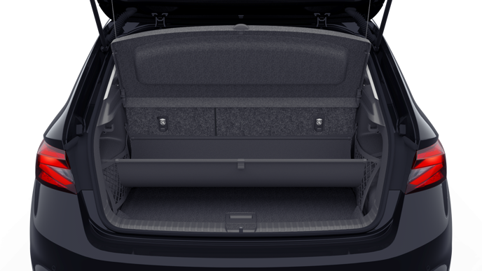 Bild eines Fabia Selection TSI DSG