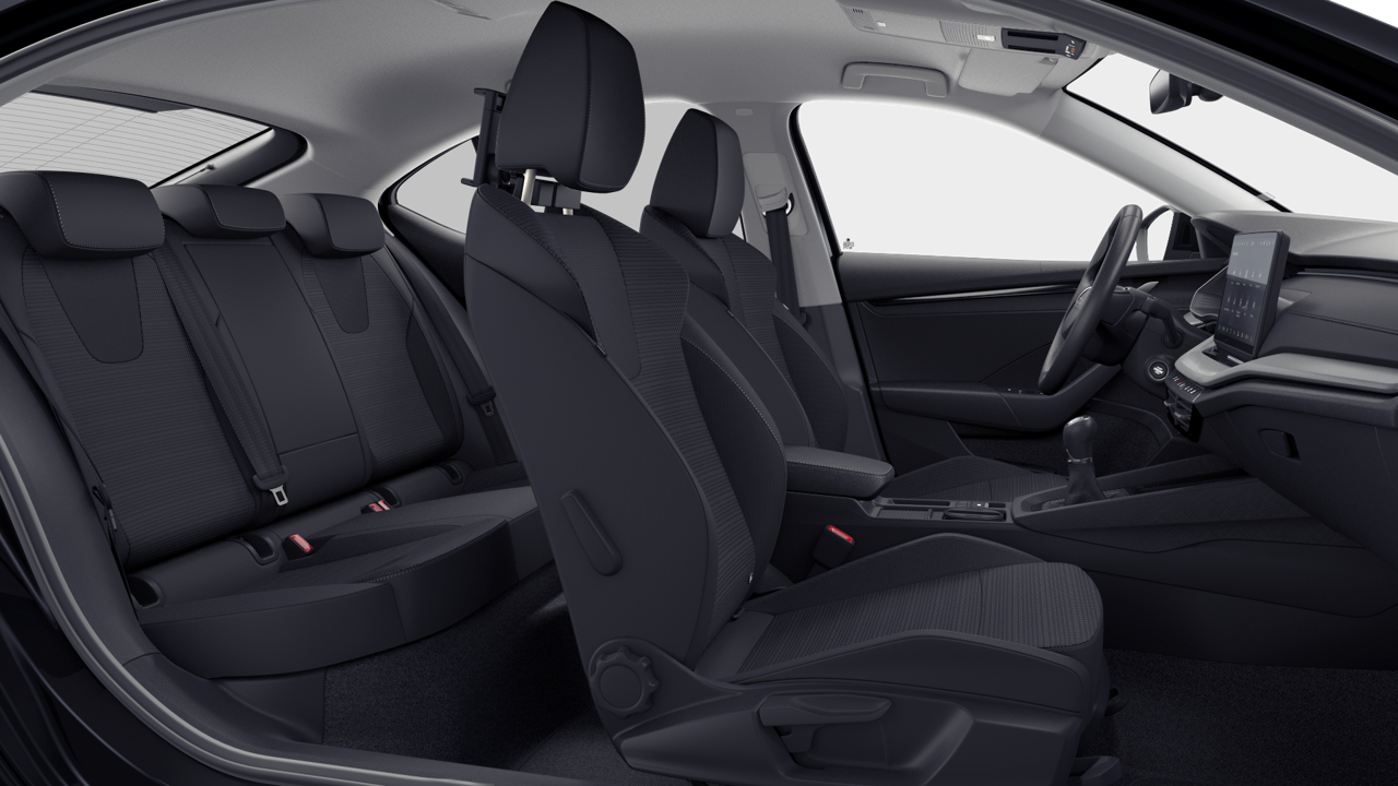 Bild eines Octavia Selection TSI