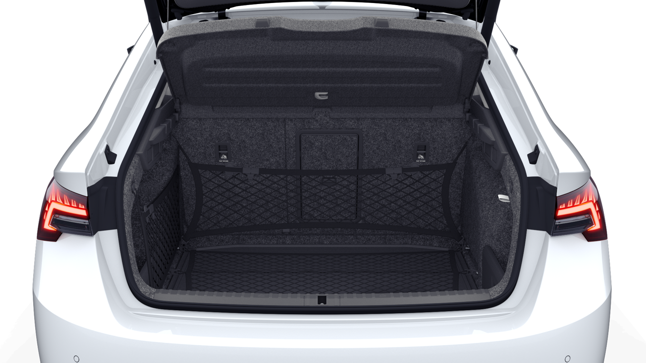 Bild eines Octavia Selection TSI