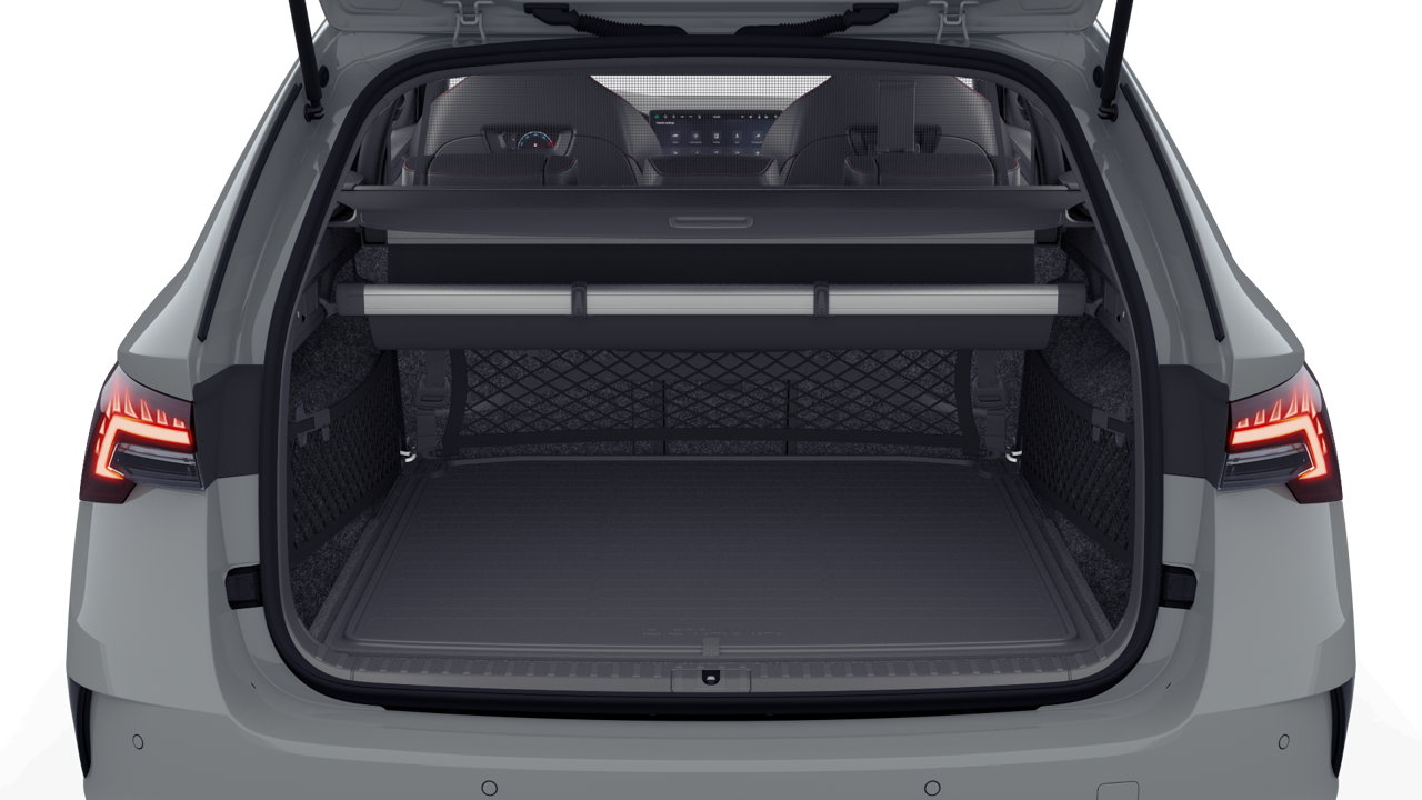 Bild eines Octavia Combi RS