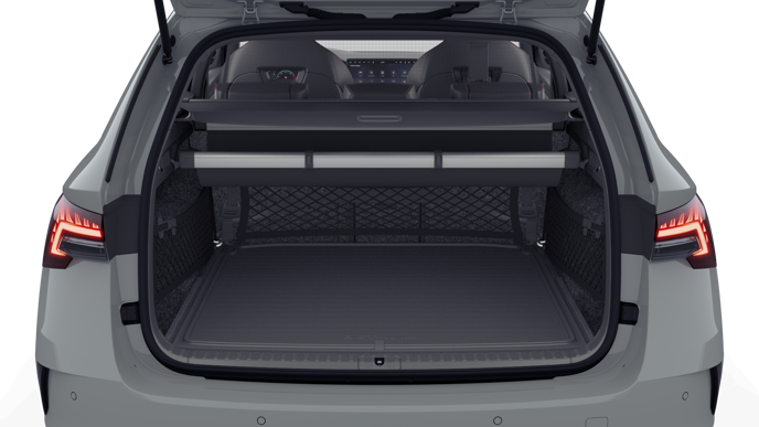 Bild eines Octavia Combi RS