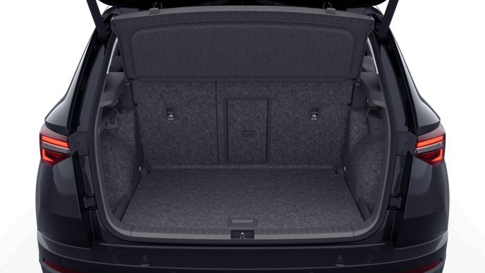 Bild eines Karoq Selection TSI DSG ACT