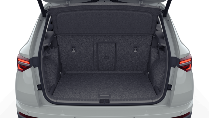 Bild eines Karoq Selection TDI DSG