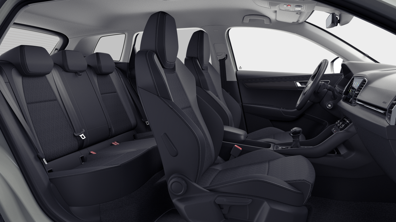 Bild eines Karoq Selection TDI DSG