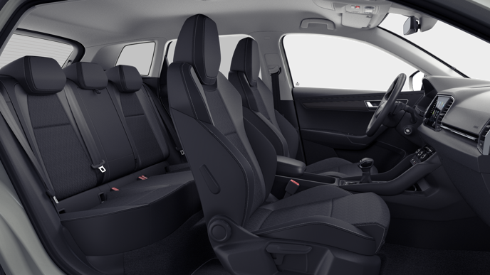 Bild eines Karoq Selection TDI DSG