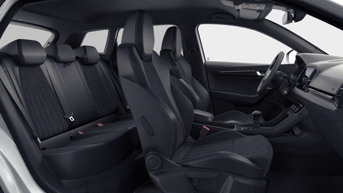 Bild eines Karoq Sportline TDI DSG