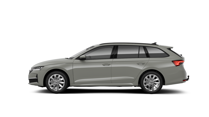 Bild eines Octavia Combi 4x4 Selection TSI DSG