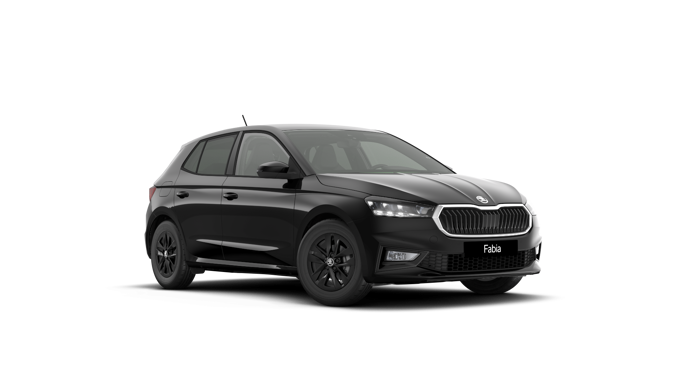 Bild eines Fabia Selection