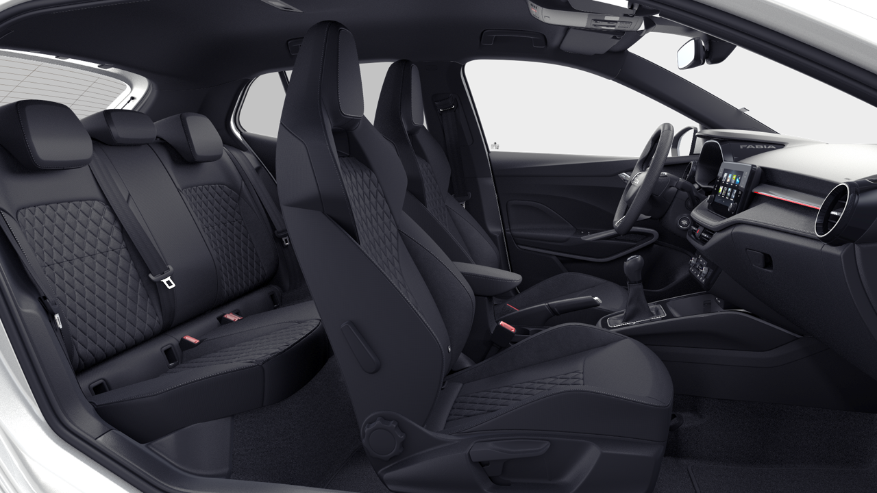 Bild eines Fabia Selection