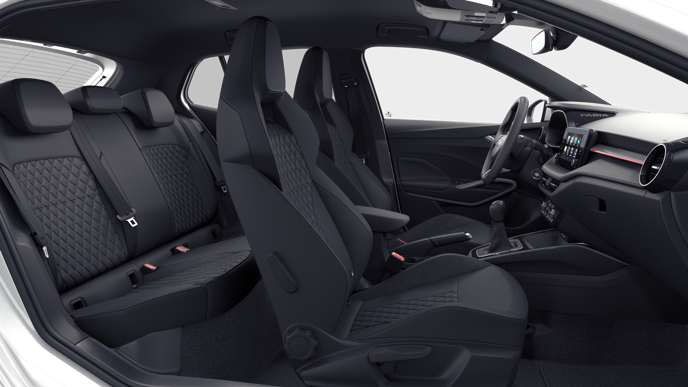 Bild eines Fabia Selection