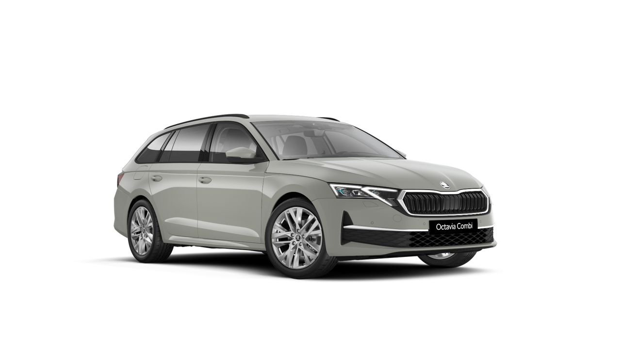 Bild eines Octavia Combi Selection TDI