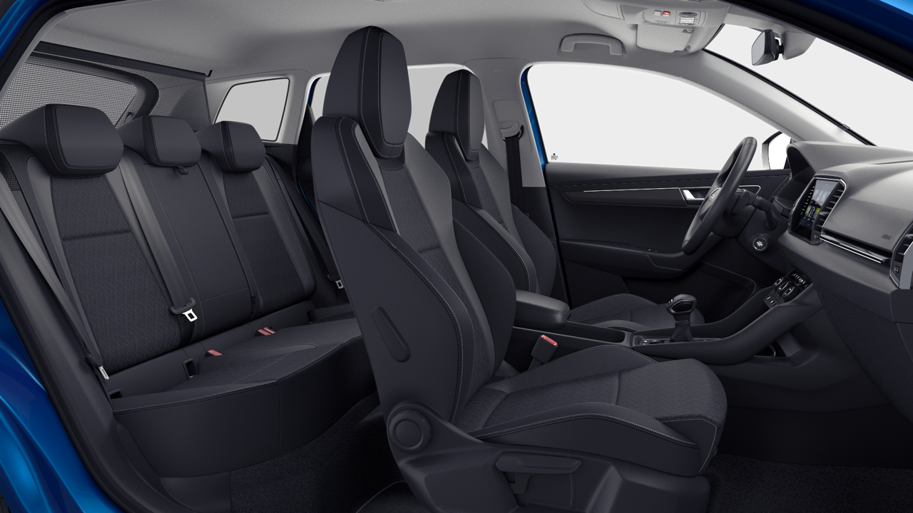 Bild eines Karoq 4x4 Selection TDI DSG