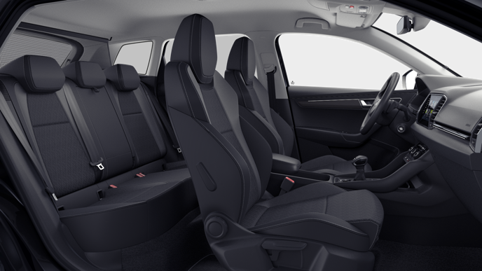Bild eines Karoq 4x4 Selection TDI DSG