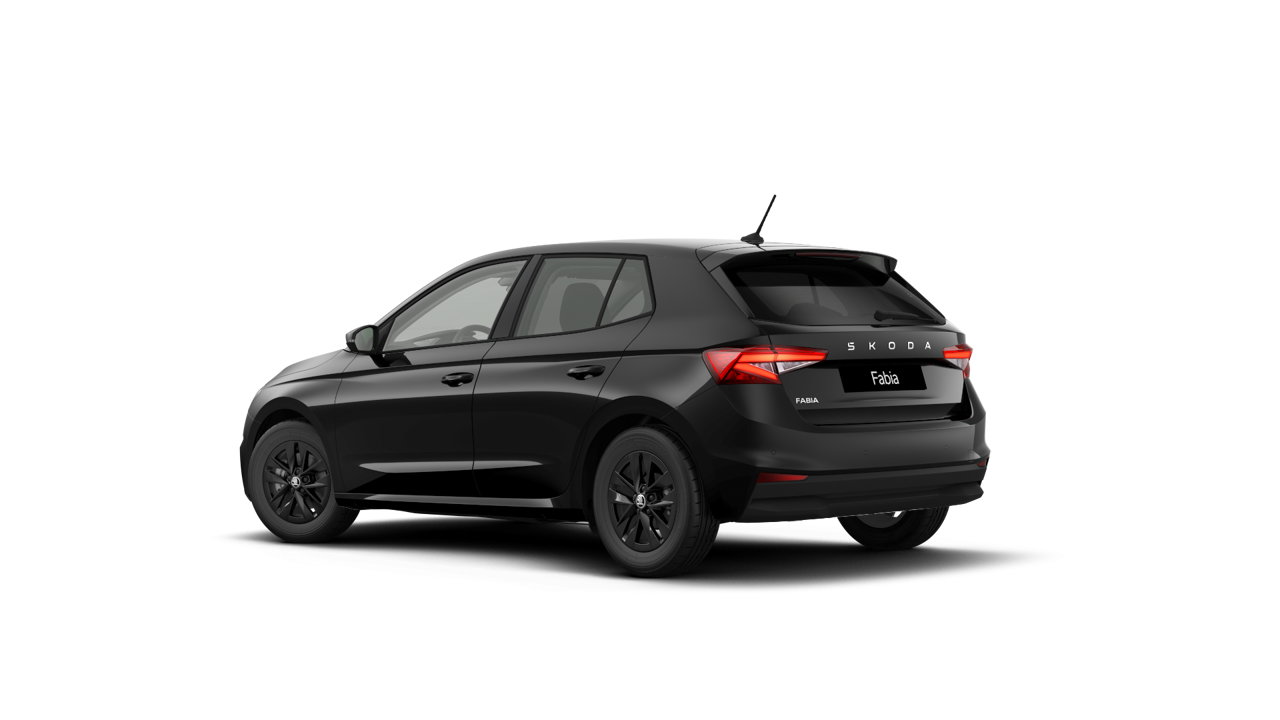 Bild eines Fabia Selection TSI DSG
