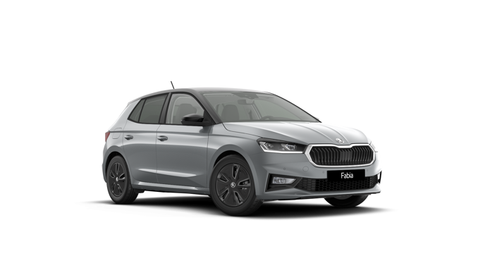 Bild eines Fabia Selection TSI DSG