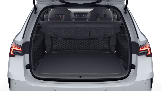 Bild eines Octavia Combi RS