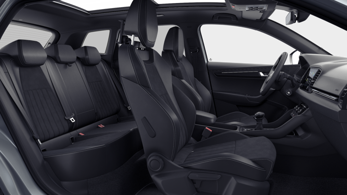 Bild eines Karoq Sportline TDI DSG