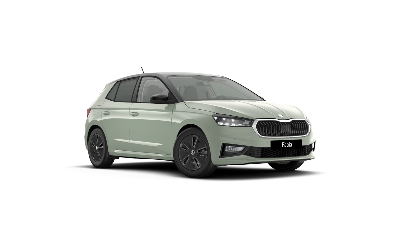 Bild eines Fabia Selection TSI