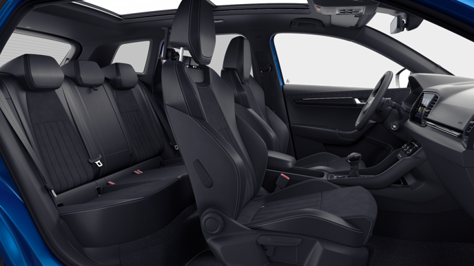 Bild eines Karoq 4x4 Sportline TDI DSG