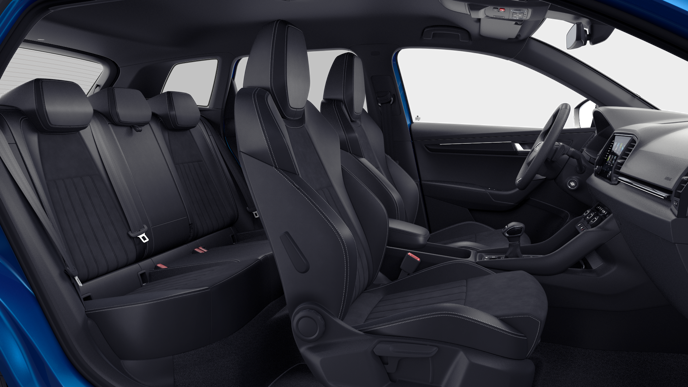 Bild eines Karoq Sportline TDI DSG