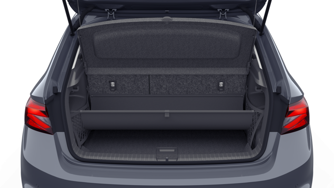 Bild eines Fabia Selection TSI DSG