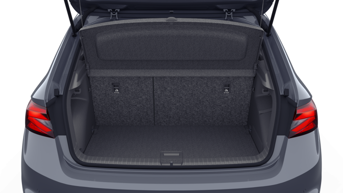 Bild eines Fabia Selection TSI DSG