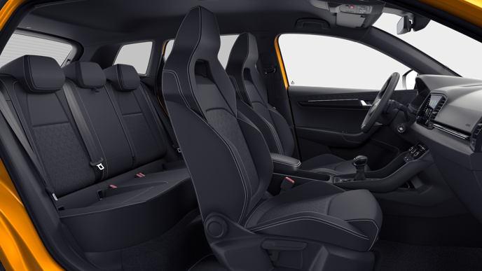 Bild eines Karoq 4x4 Sportline TDI DSG