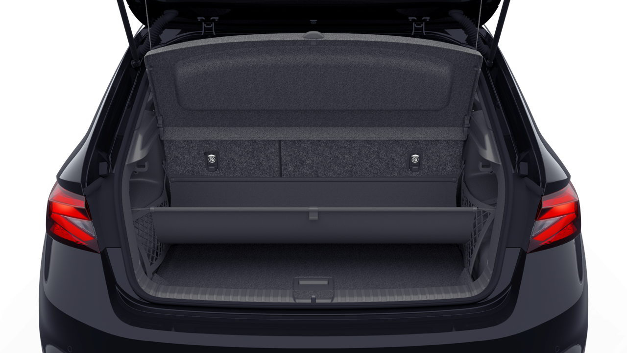Bild eines Fabia Selection TSI