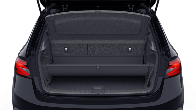 Bild eines Fabia Selection TSI
