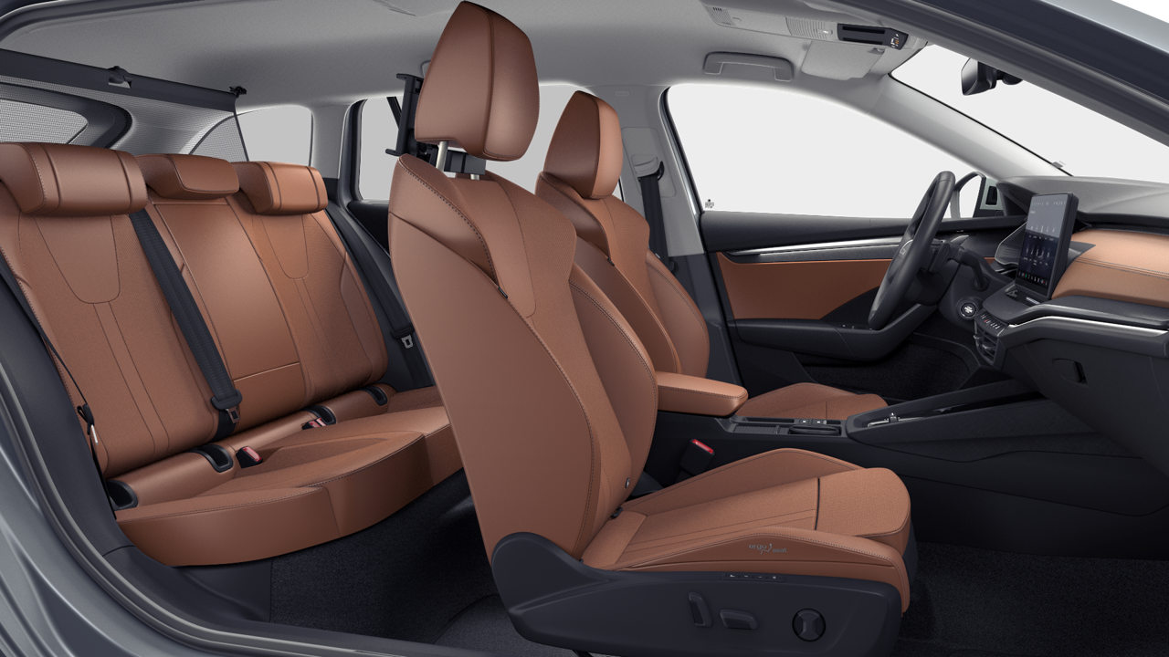 Bild eines Octavia Combi Selection TDI DSG