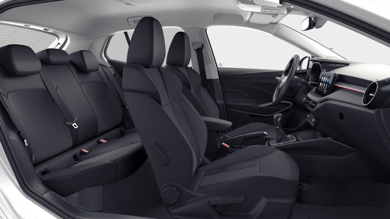 Bild eines Fabia Selection TSI DSG